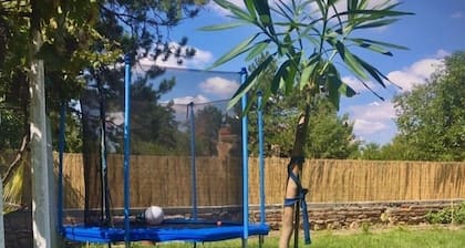Nikola's House