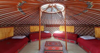 Dalanzadgad Homestay - Unique Ger Accommodation