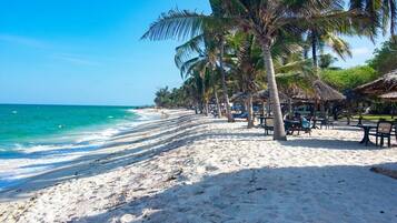 Playa