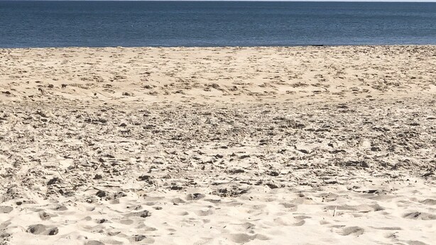 Une plage avec un ciel dégagé et une mer calme.