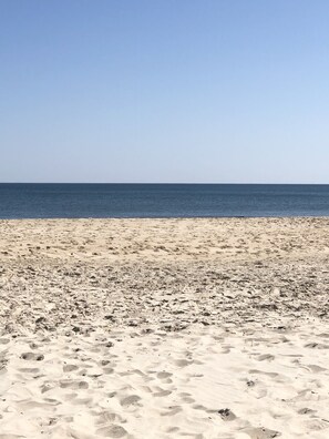 Playa en los alrededores y camastros 