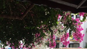 A swimming pool with lounge chairs and a table, surrounded by blooming pink and white flowers. - Sevgi Hotel Kalkan (Kas)