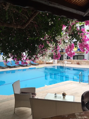 Piscine extérieure en saison