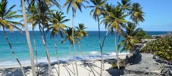 Yellow Bird Apartment in Blue Ocean Cottage in Silver Sands