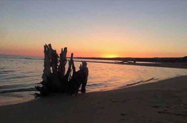 Perto da praia 