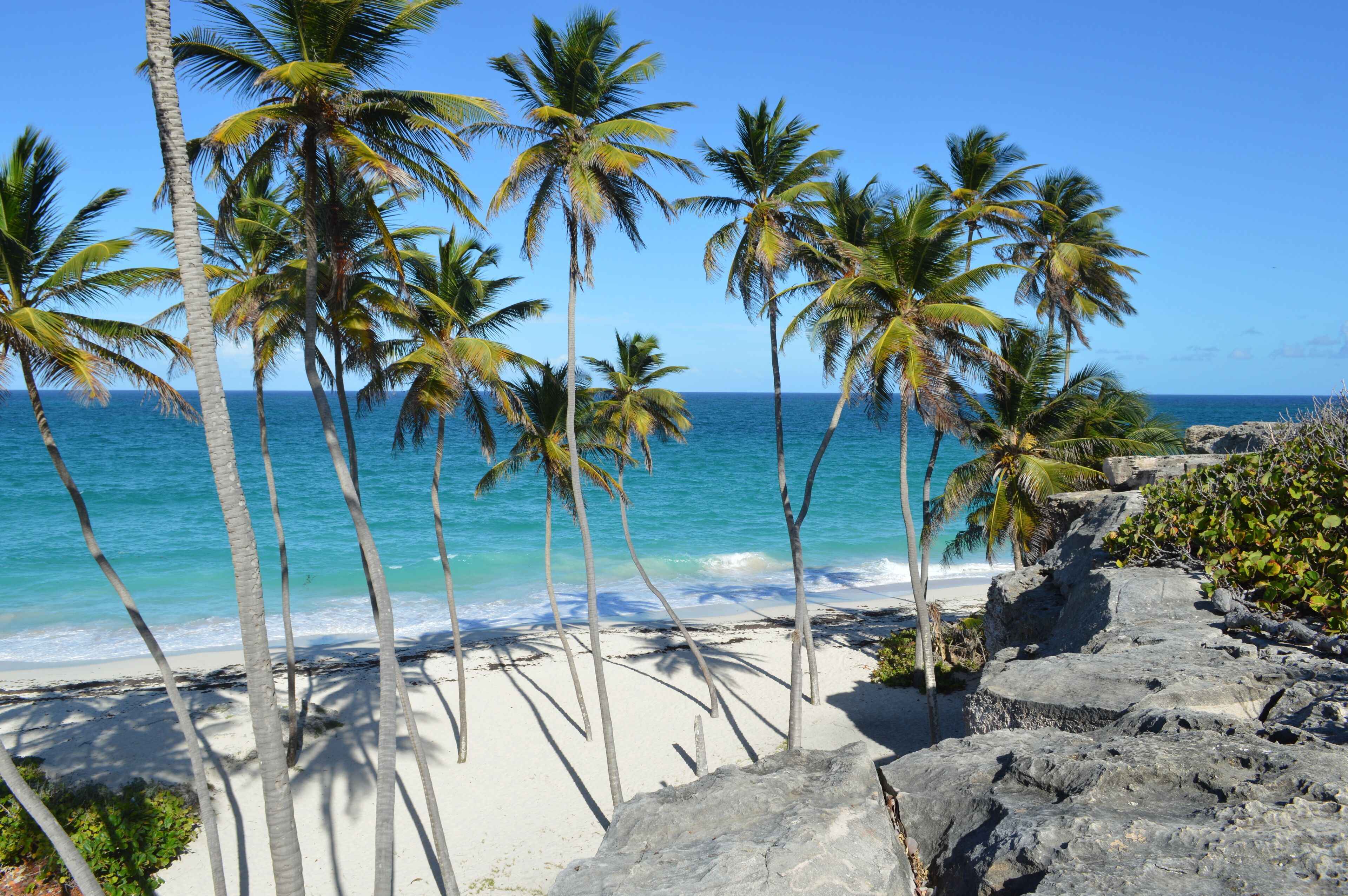 Una spiaggia nelle vicinanze, lettini da mare