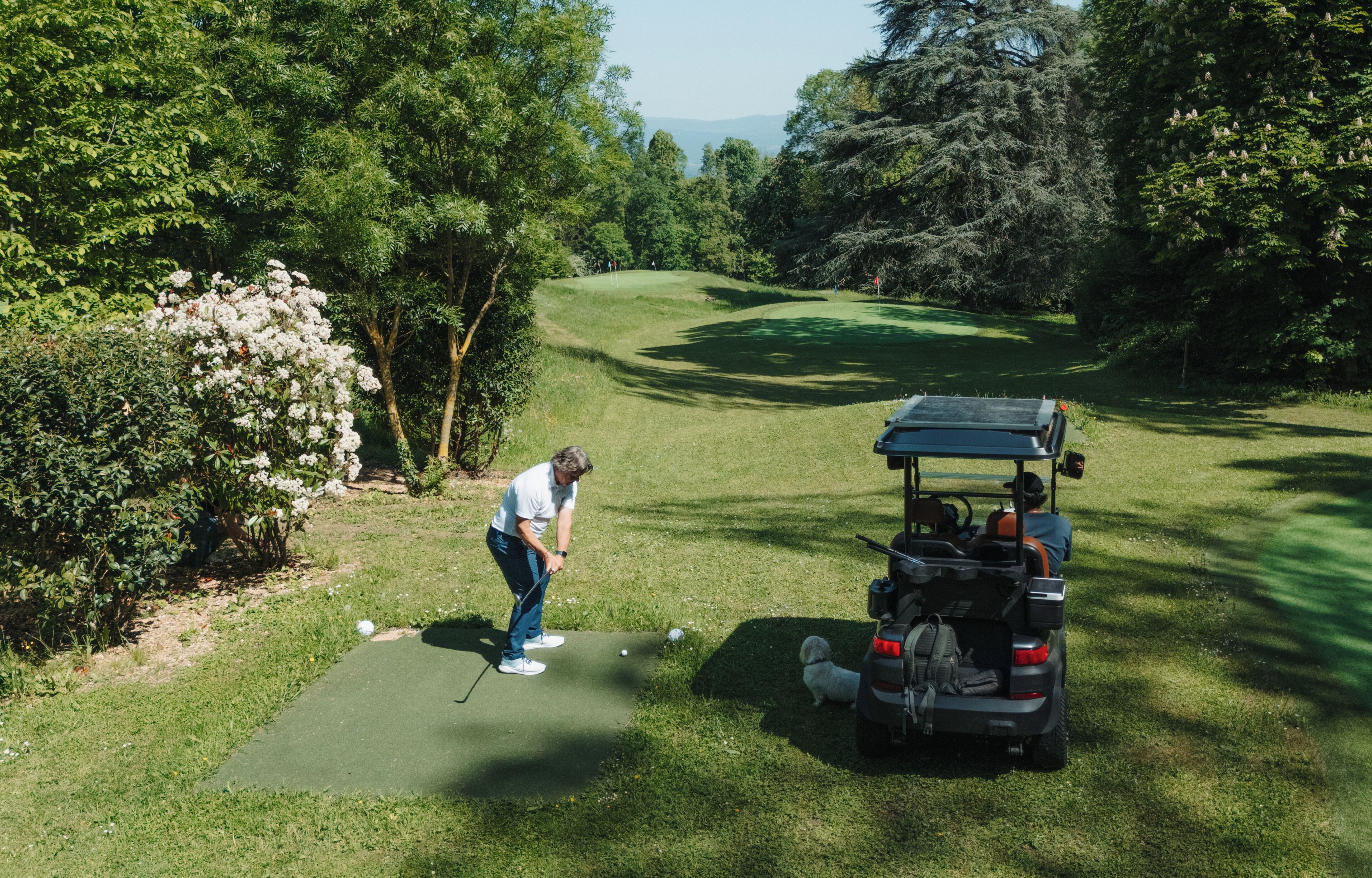 A golf course with a putting green, a golf cart, and a dog.