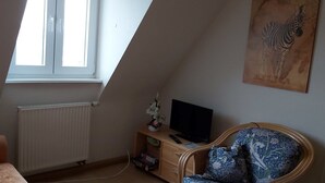 Une chambre avec un plafond en pente, un radiateur, un téléviseur posé sur un meuble en bois, une chaise en osier et un tableau représentant une zèbre accroché au mur.