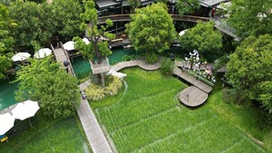 Un jardin luxuriant avec une terrasse en bois, un petit étang et un espace détente agrémenté de parasols.