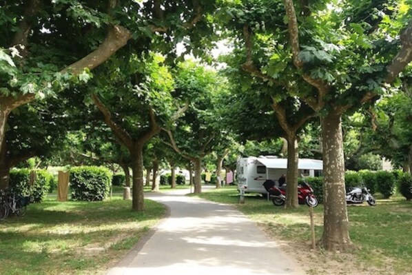 Garden - Camping de l'Ardèche (Salavas)