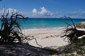 Playa en los alrededores 