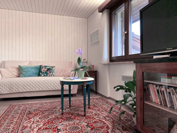 Fernseher, Bücher