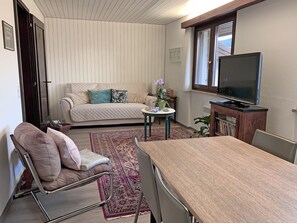 Fernseher, Bücher