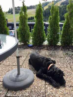 auf 2 Etagen | Terrasse/Patio