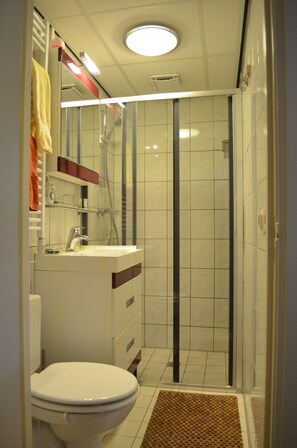 Shower, hair dryer, towels, soap - Stylish apartment with garden in a former farmhouse in De Waal (De Waal)
