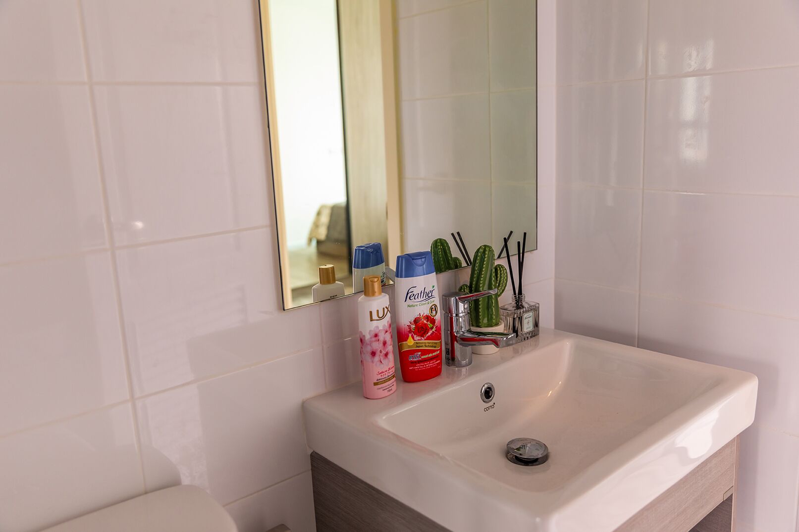 A bathroom with a white sink, a mirror, and toiletries including a bottle of Lux shampoo and a bottle of Feather body wash.