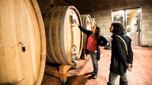 Una persona señala un barril de vino en una bodega.