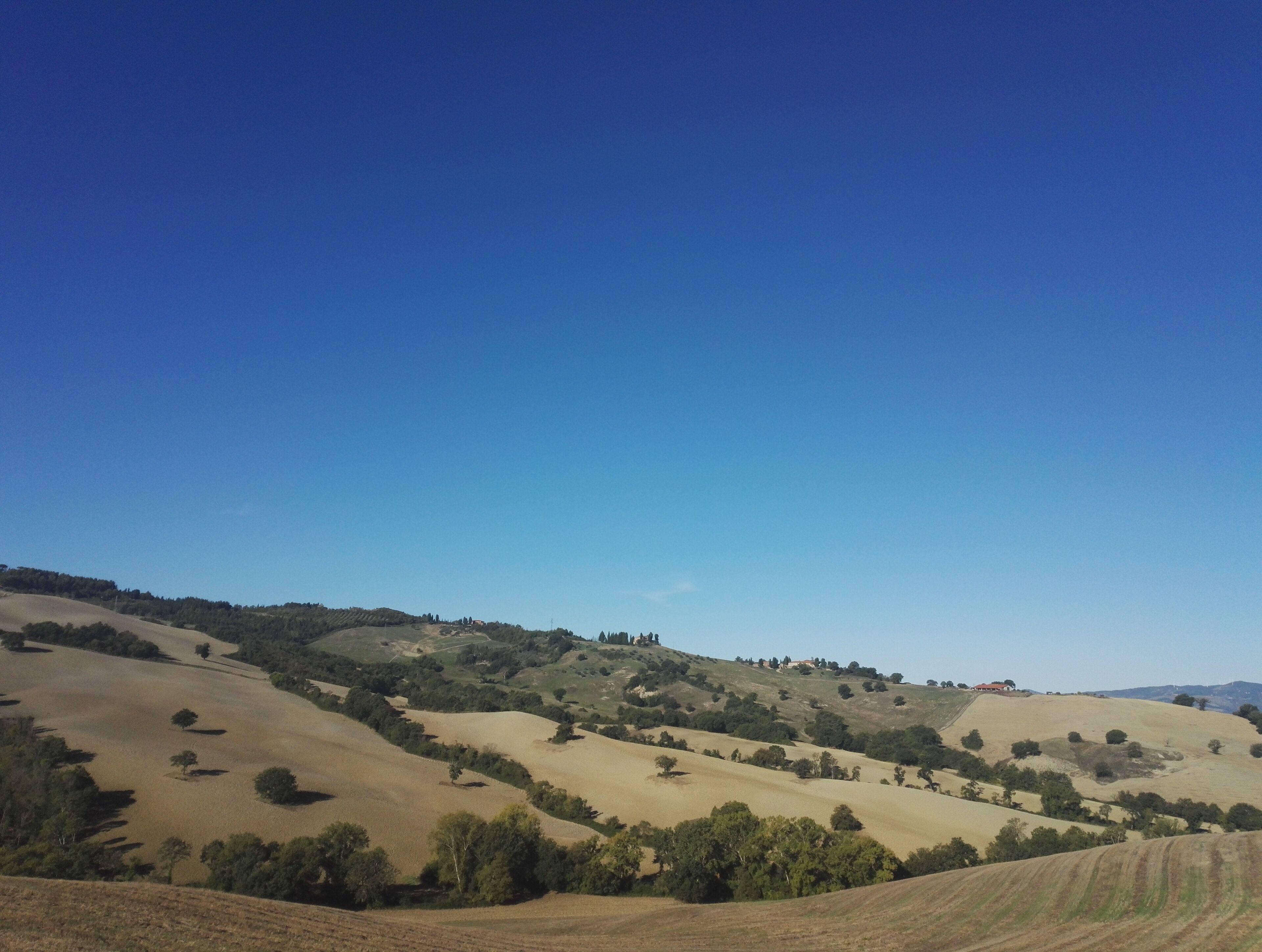 Colinas ondulantes con vegetación escasa y un cielo azul despejado.