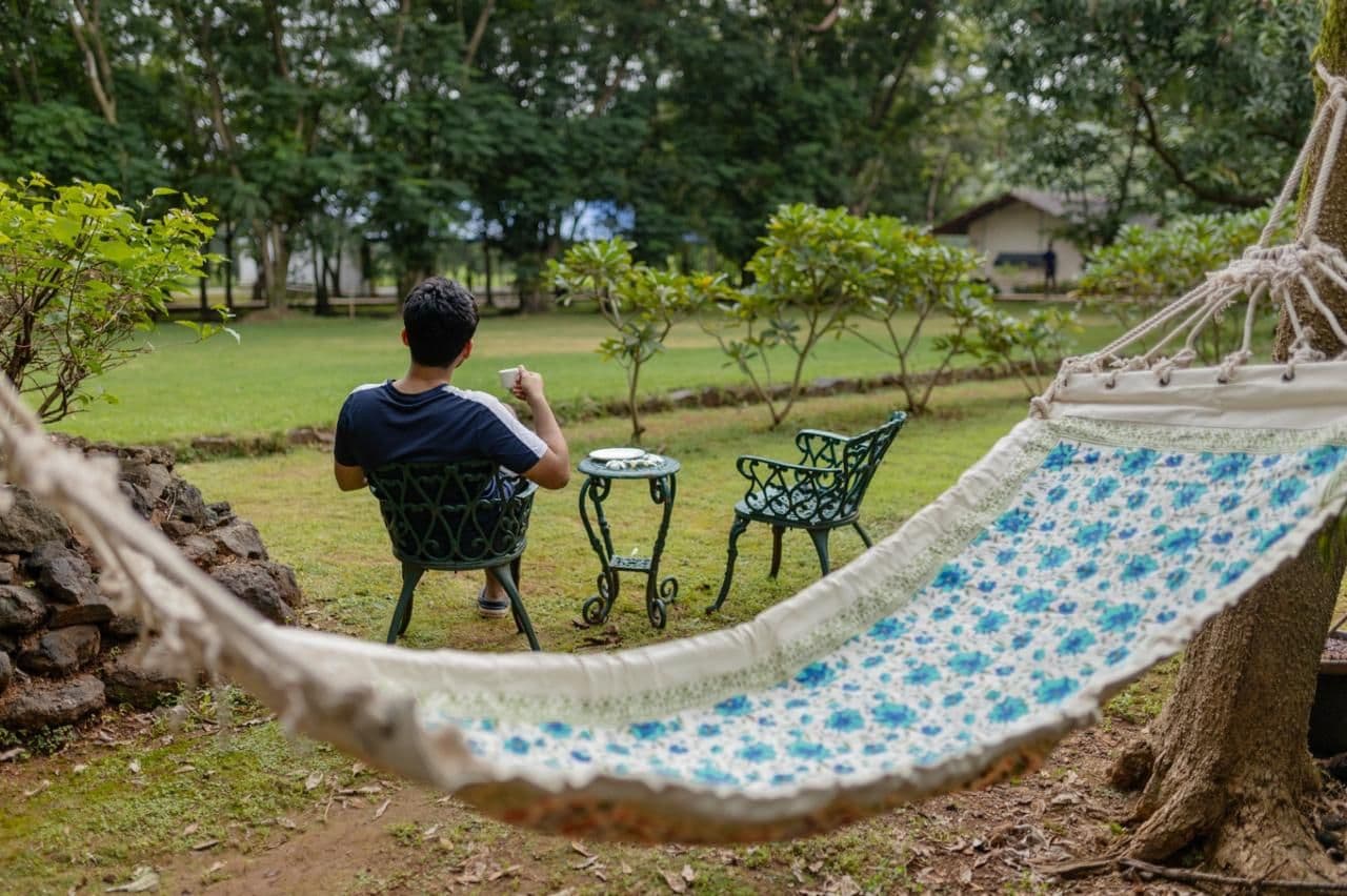 Taman