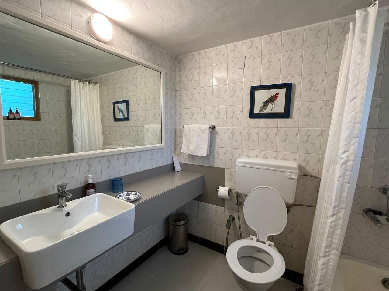 A bathroom with a sink, toilet, and shower curtain.