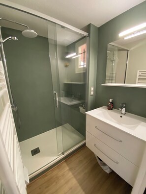 Bathtub, hair dryer, toilet paper