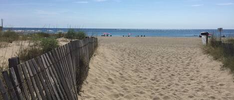 On the beach, sun-loungers