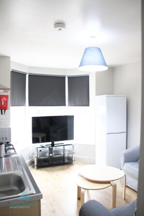 商務公寓 | 起居區 | 平面電視