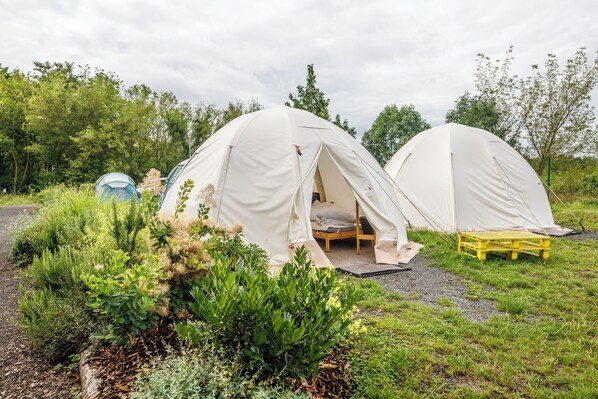 Tent (Glamping)