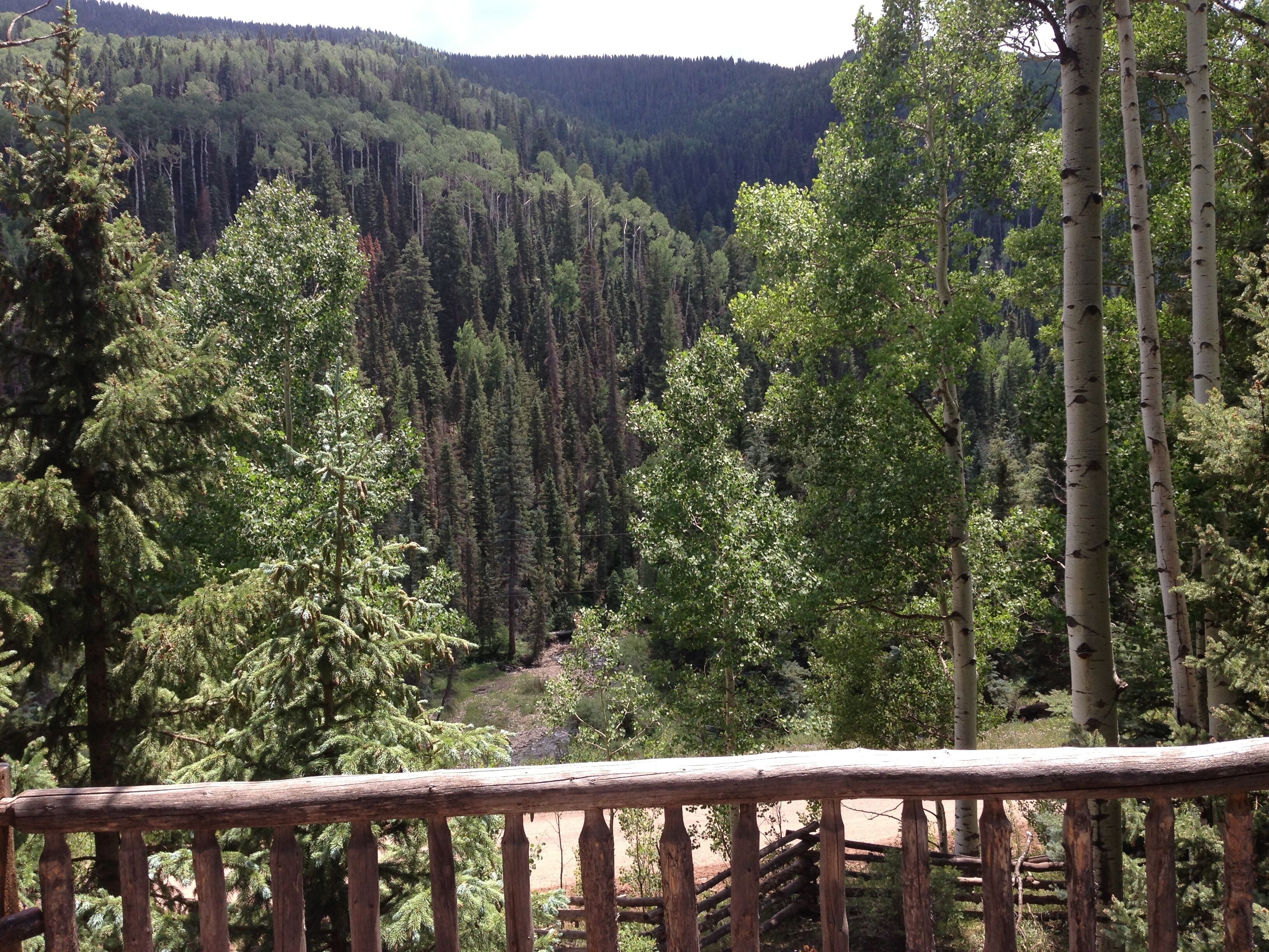 Un paysage montagneux boisé, avec une terrasse en bois au premier plan.