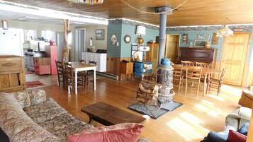 TV connectée, cheminée, lecteur de DVD, livres