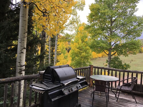 RedCliff Lodge w/hiking trails,specular fall colors, mtn views & great fishing!