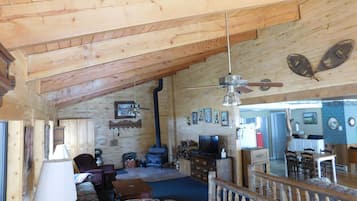 Smart TV, fireplace, DVD player, books