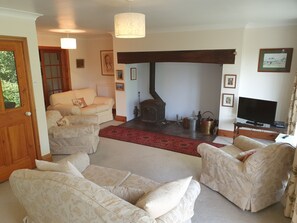 Smart TV, fireplace, DVD player, books