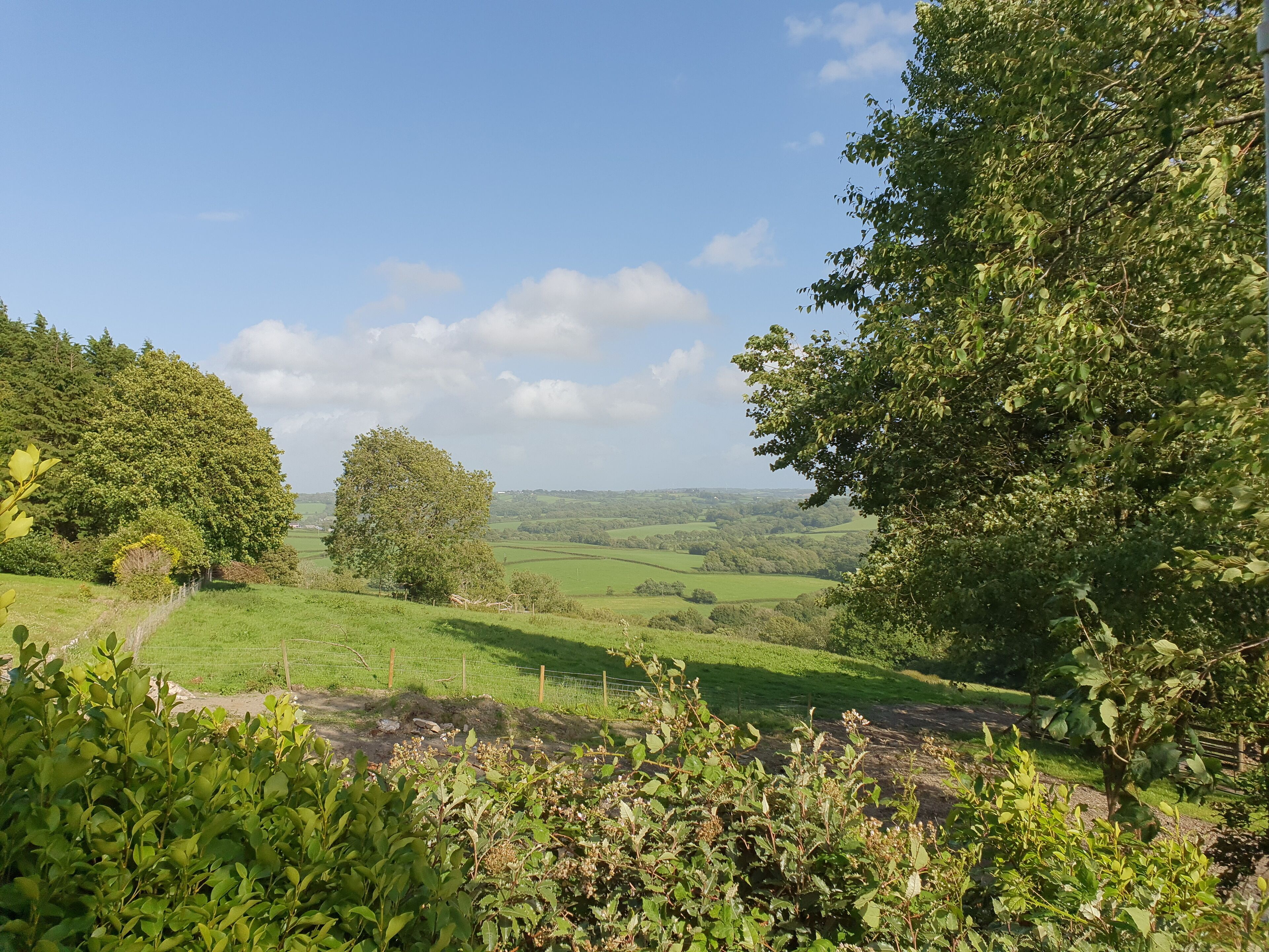 Een landelijk landschap met glooiende groene heuvels, een heldere lucht en diverse bomen.