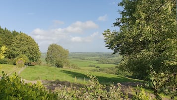 Een landelijk landschap met glooiende groene heuvels, een heldere lucht en diverse bomen.