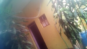 Un passatge exterior estret amb una porta i una finestra, envoltat de plantes i un barril blau.