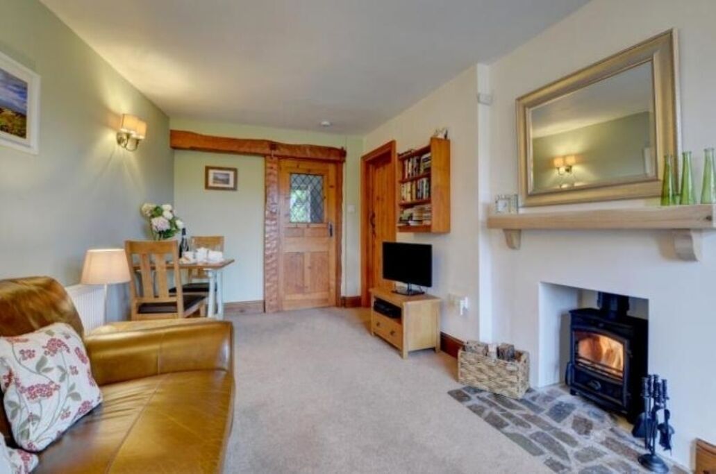 Smart TV, fireplace, DVD player, books