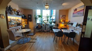 A cozy interior with wooden flooring, a central round table, and chairs, surrounded by shelves with various items and a large window with plants. - Starlight Guest House (Blackpool)