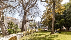 A park with large trees, a grassy area, and a building in the background. - The Best Apartment in Lisbon, Praça da Alegria (Lisboa)