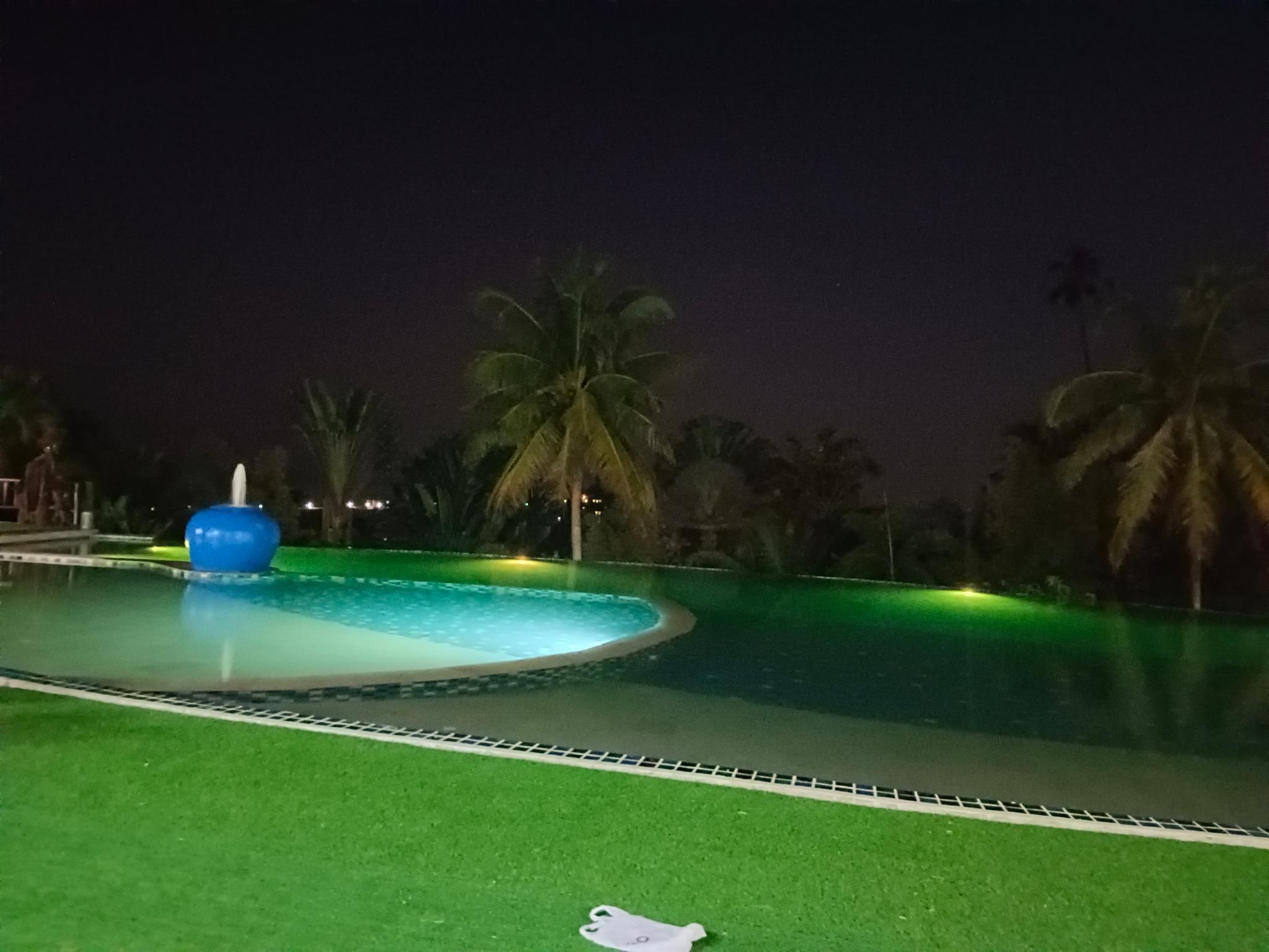 Une piscine avec un élément décoratif aquatique aux eaux bleues, entourée de gazon synthétique et de palmiers.