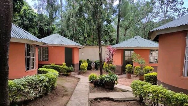 A courtyard with two buildings, each with a single door and window, surrounded by greenery and a concrete pathway.