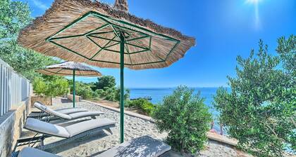Beachfront Villa New Horizons III