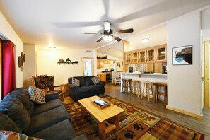 Télévision, cheminée, lecteur de DVD, livres