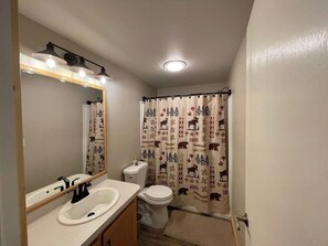 Combined shower/bathtub, hair dryer, towels