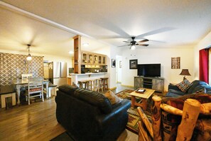 Télévision, cheminée, lecteur de DVD, livres