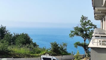 A white car parked on a paved area with a view of the sea.