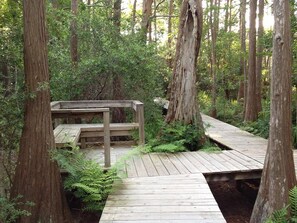 Terrace/patio - 🐟Close to Beach-Cassine Gardens 108- Sandy Daze (Santa Rosa Beach)