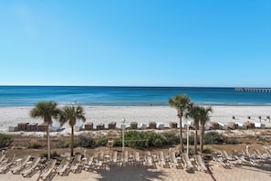 A beach with sun loungers, palm trees, and a pier in the background. - Calypso Resort by BBG (Panama City Beach)