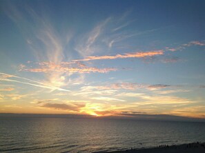 Studio (4 Bedrooms) | Interior - Boardwalk Resort 2011 -799987 (Panama City Beach)