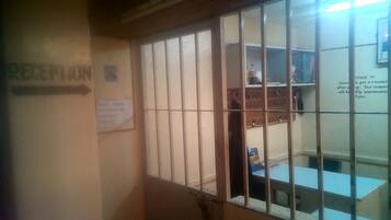 منطقة الاستقبال